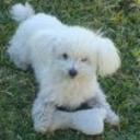 Bobby
