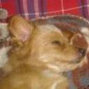 Jacobo