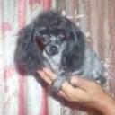 Nery