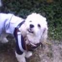 Zeús alejandro méndez