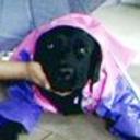 Negra