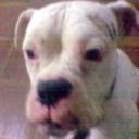 Samson