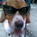 Bruno