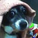 Cuca