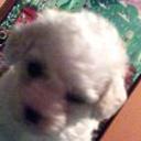 Shany