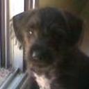 Sancho