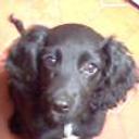 Neron
