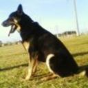Rocky