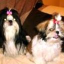 Luna y keity