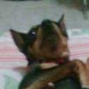 Lily
