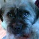 Tobi