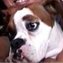 Shayna