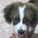 Tivo
