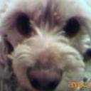 Camby
