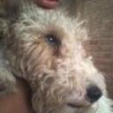 Filippo