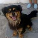 Roky