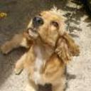 Terri jose lopez castañeda (tachi)