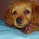 Tobias maximiliano aguero galeano