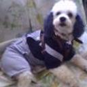 Zeus alejandro méndez