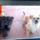 Chiki