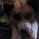 Samy