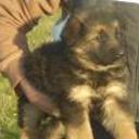 Tuka