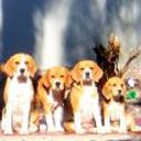 Arthur y familia