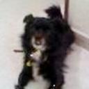 Roky