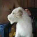 Mochita