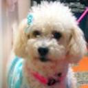 Sussy