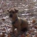 Charlie