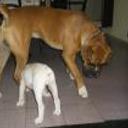 Tayson y luna