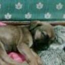 Thayson