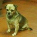 Chico