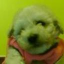 Sacha