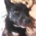 Jenifer