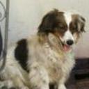 Wanda