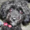 Chiki