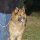 Tomy