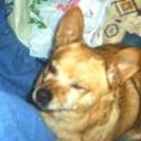 Chiki