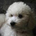 Ruffo