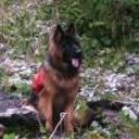 Rufo