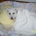 Chiquiti