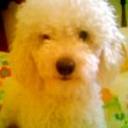 Tomy