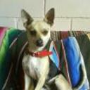 Samy