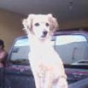 Wanda