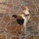 Ulises