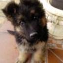 Lola