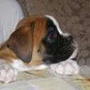Neron