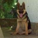 Tonchi javier